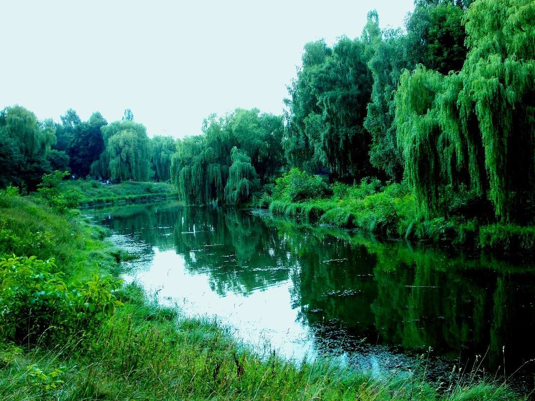 ... ����� ���