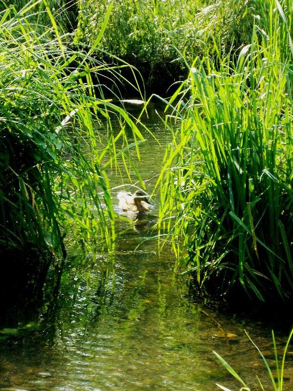 ... ����� ���