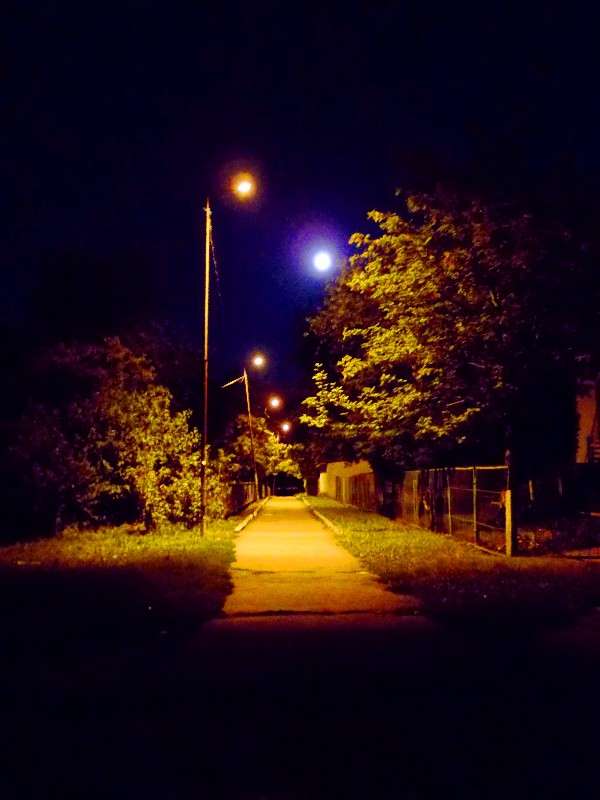 ... ����� ���