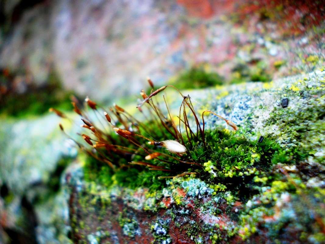 ... ����� ���