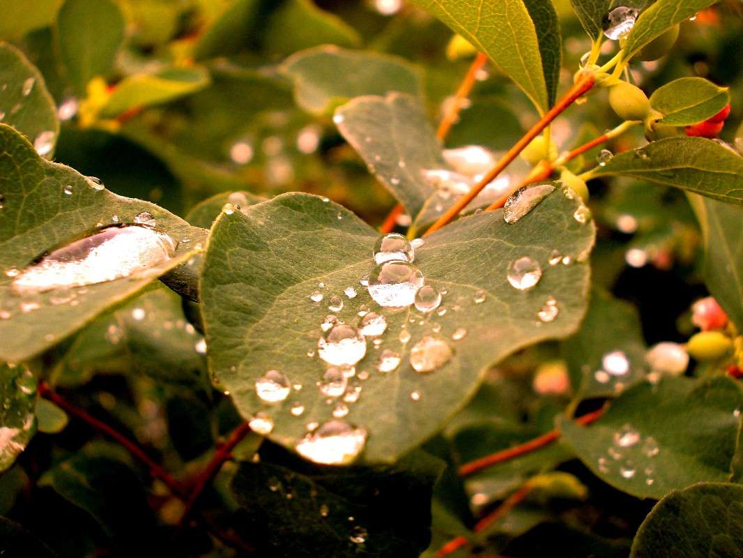 ... ����� ���