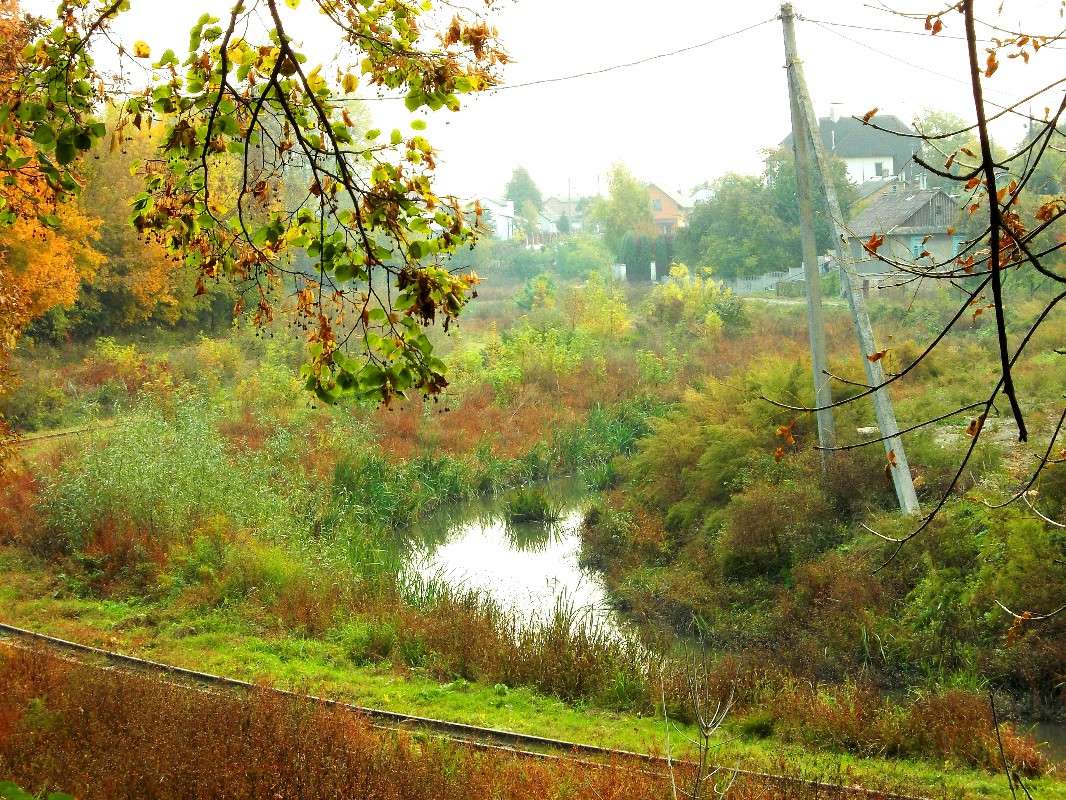 ... ����� ���