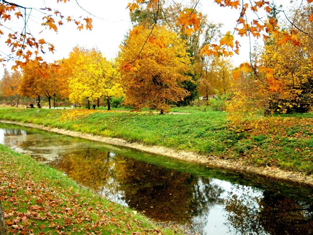 ... ����� ���