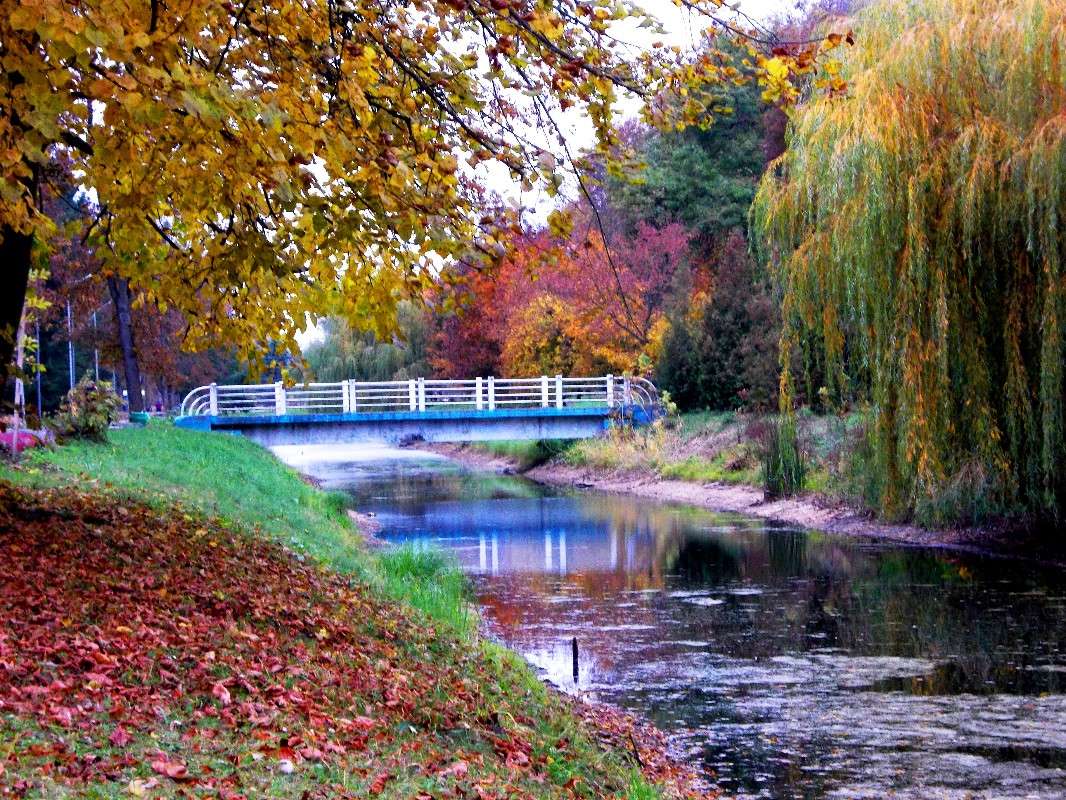 ... ����� ���