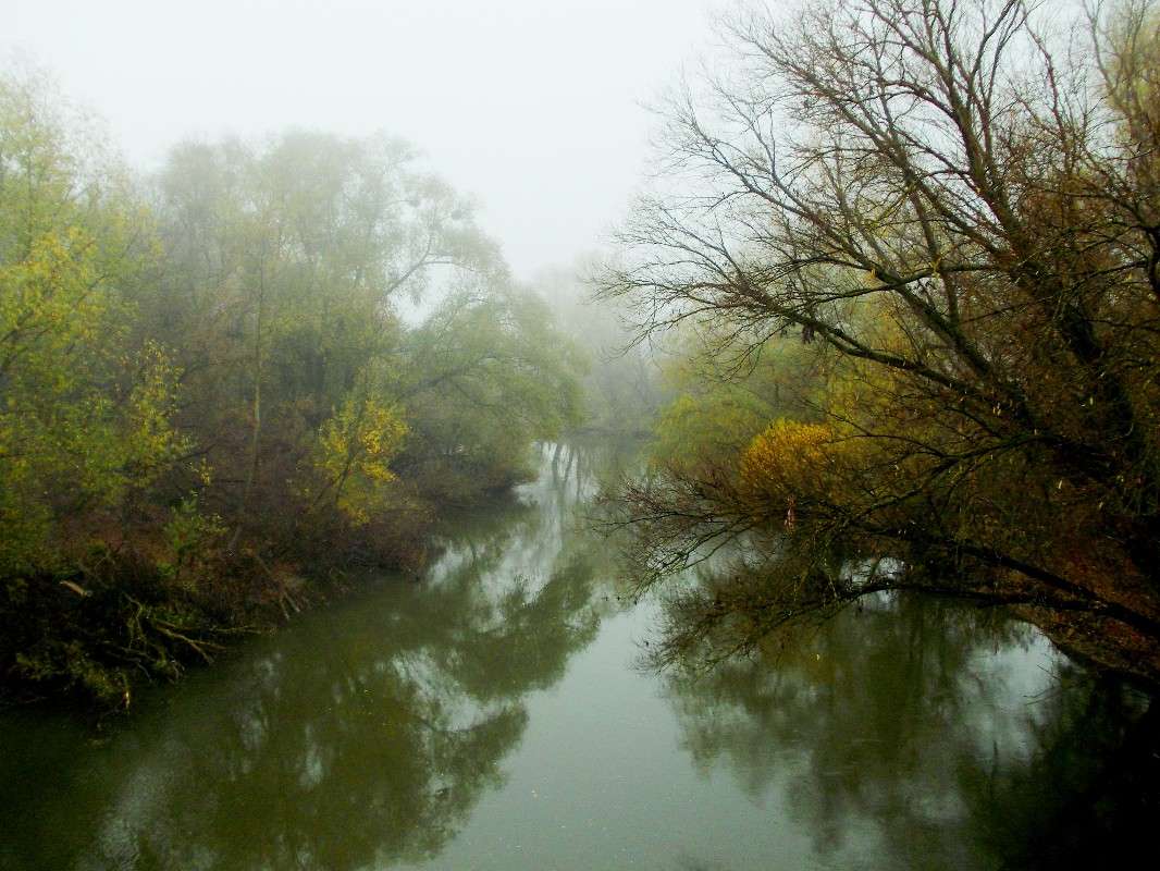 ... ����� ���