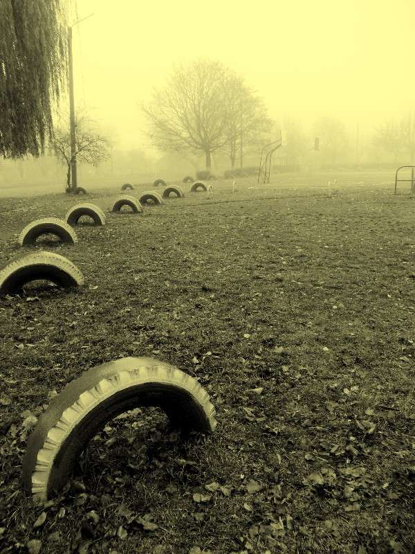 ... ����� ���