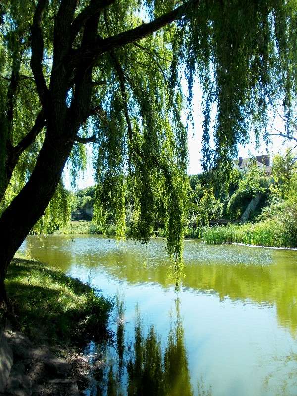 ... ����� ���