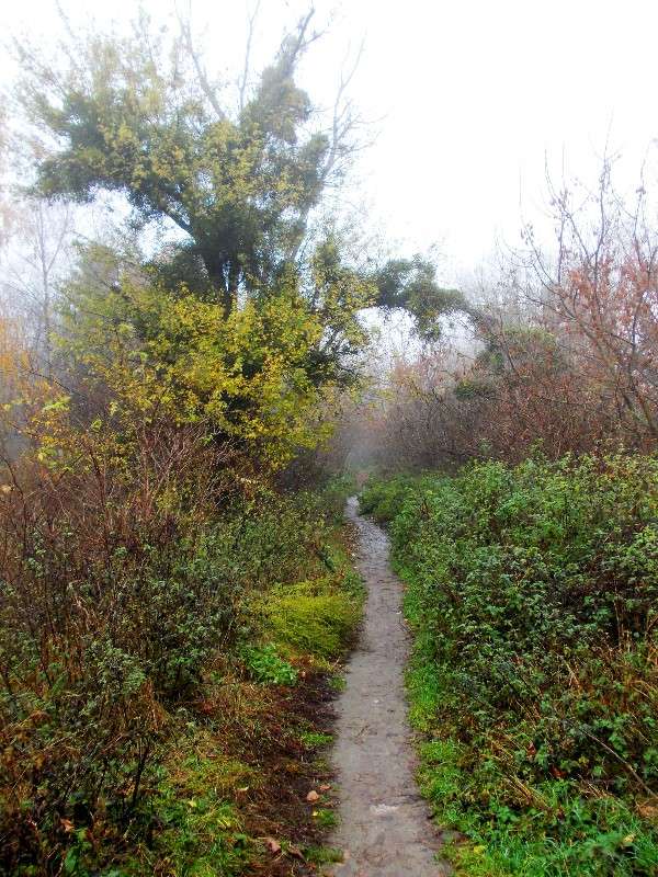 ... ����� ���