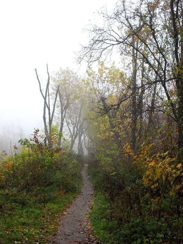 ... ����� ���