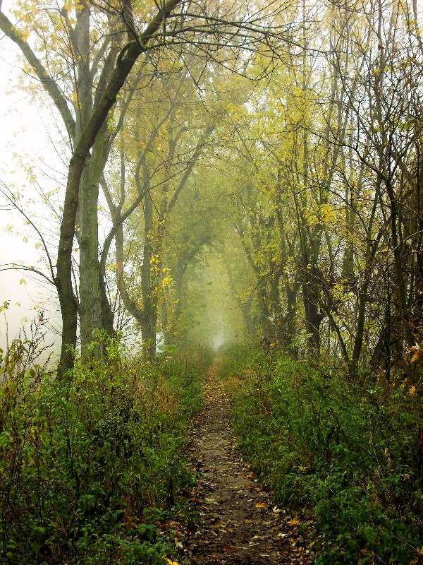 ... ����� ���