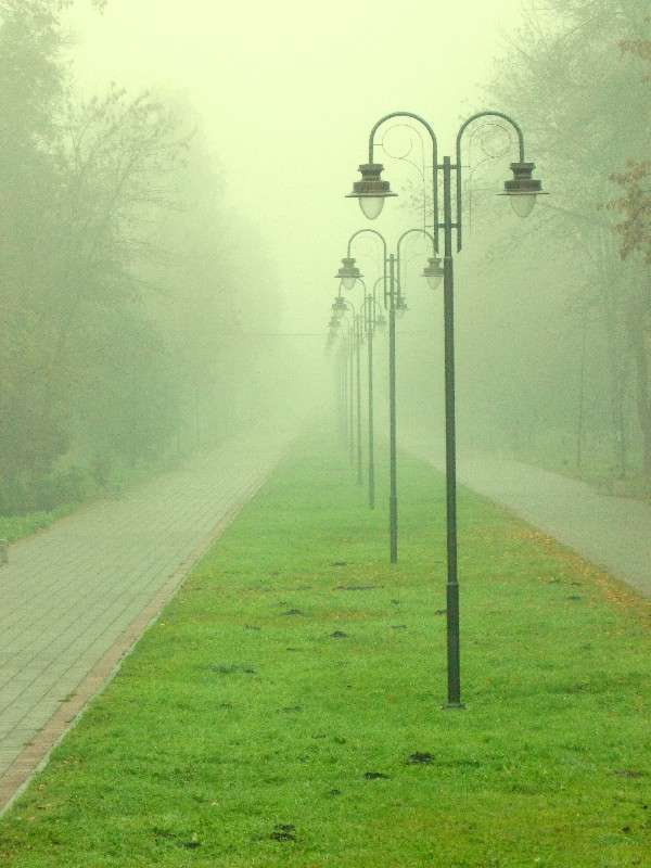 ... ����� ���