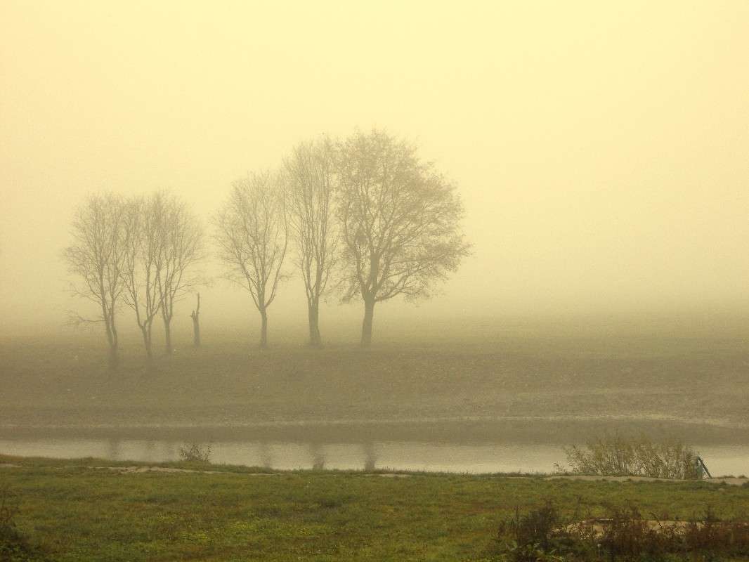 ... ����� ���