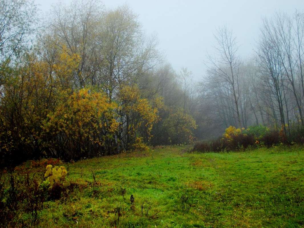 ... ����� ���