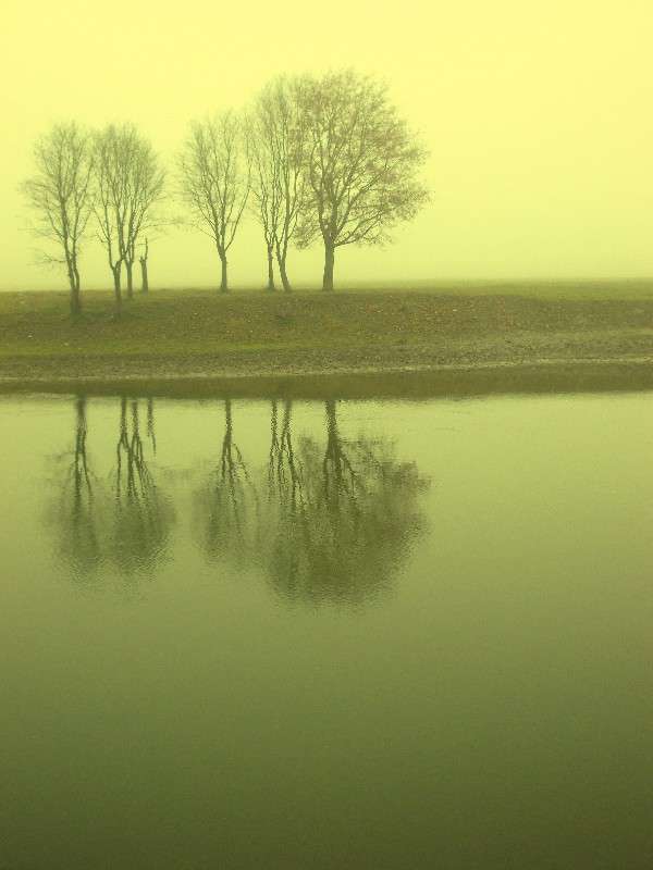 ... ����� ���