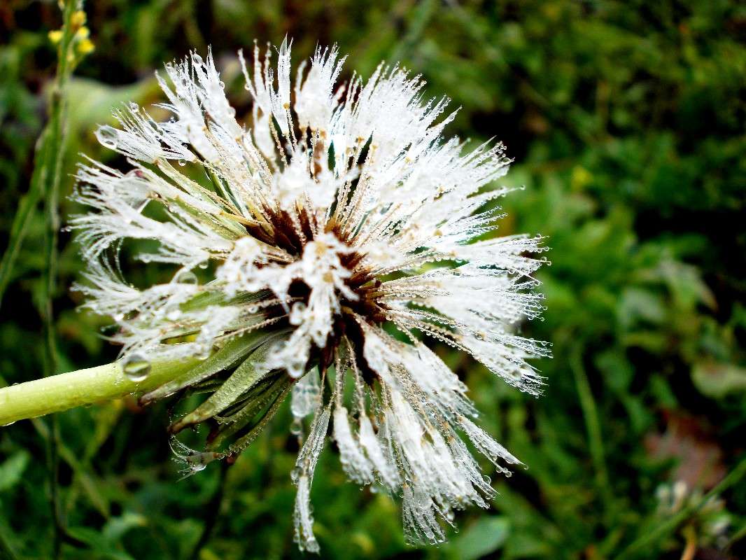 ... ����� ���