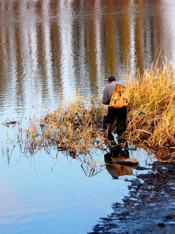 ... ����� ���