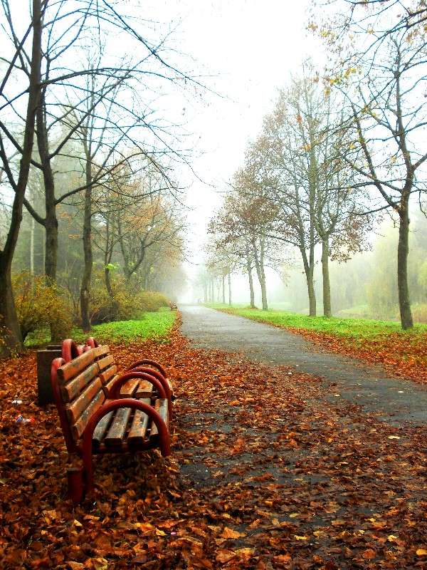 ... ����� ���