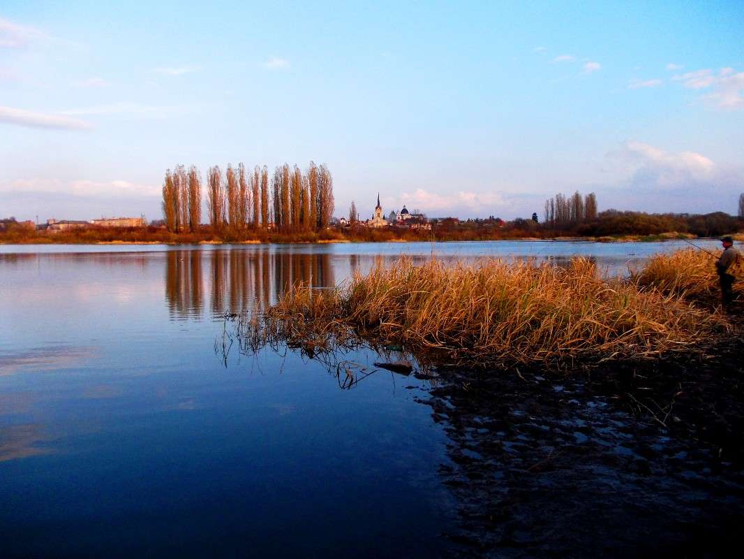 ... ����� ���