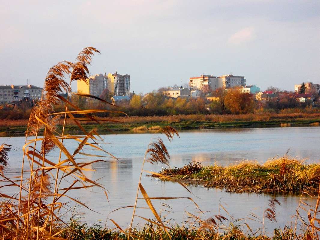 ... ����� ���