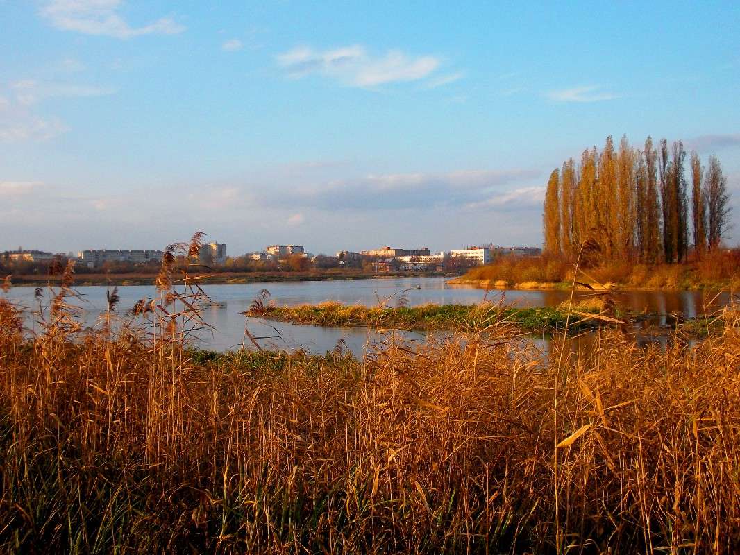 ... ����� ���