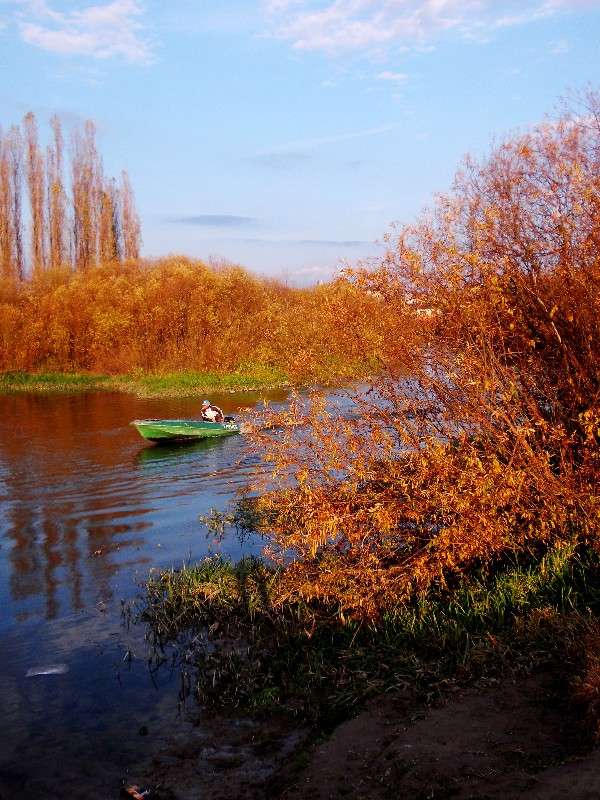 ... ����� ���