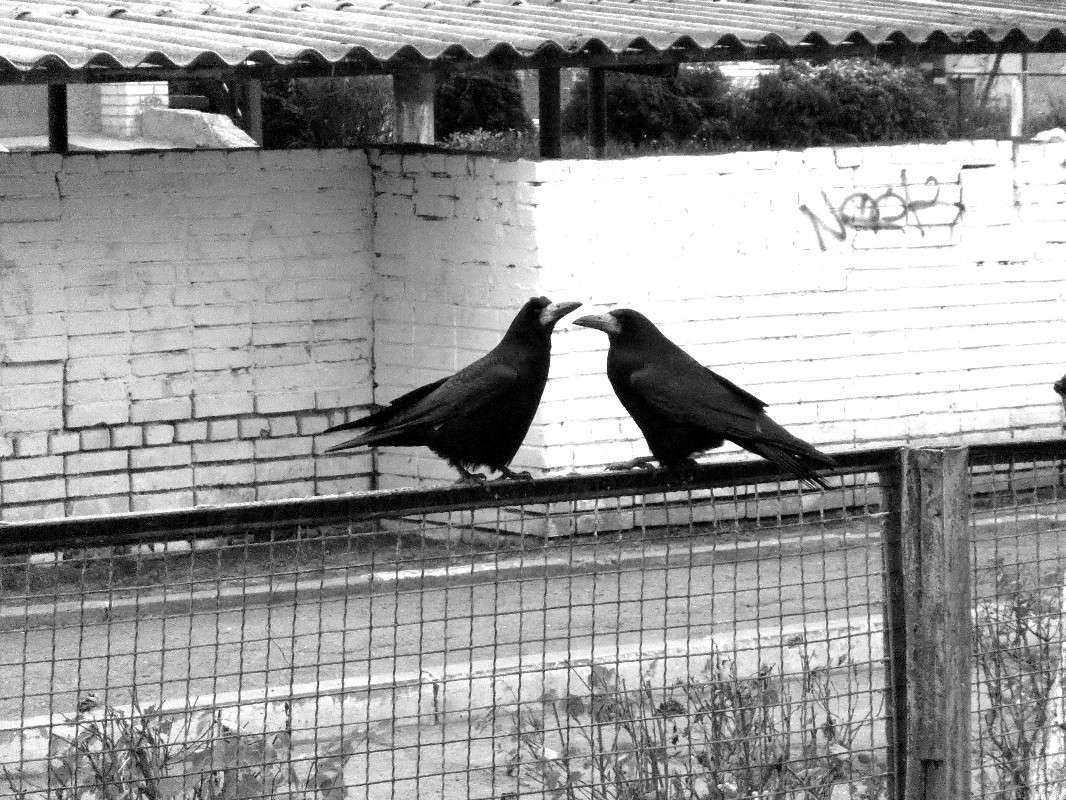 ... ����� ���