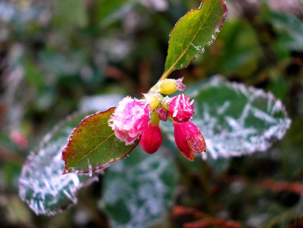 ... ����� ���