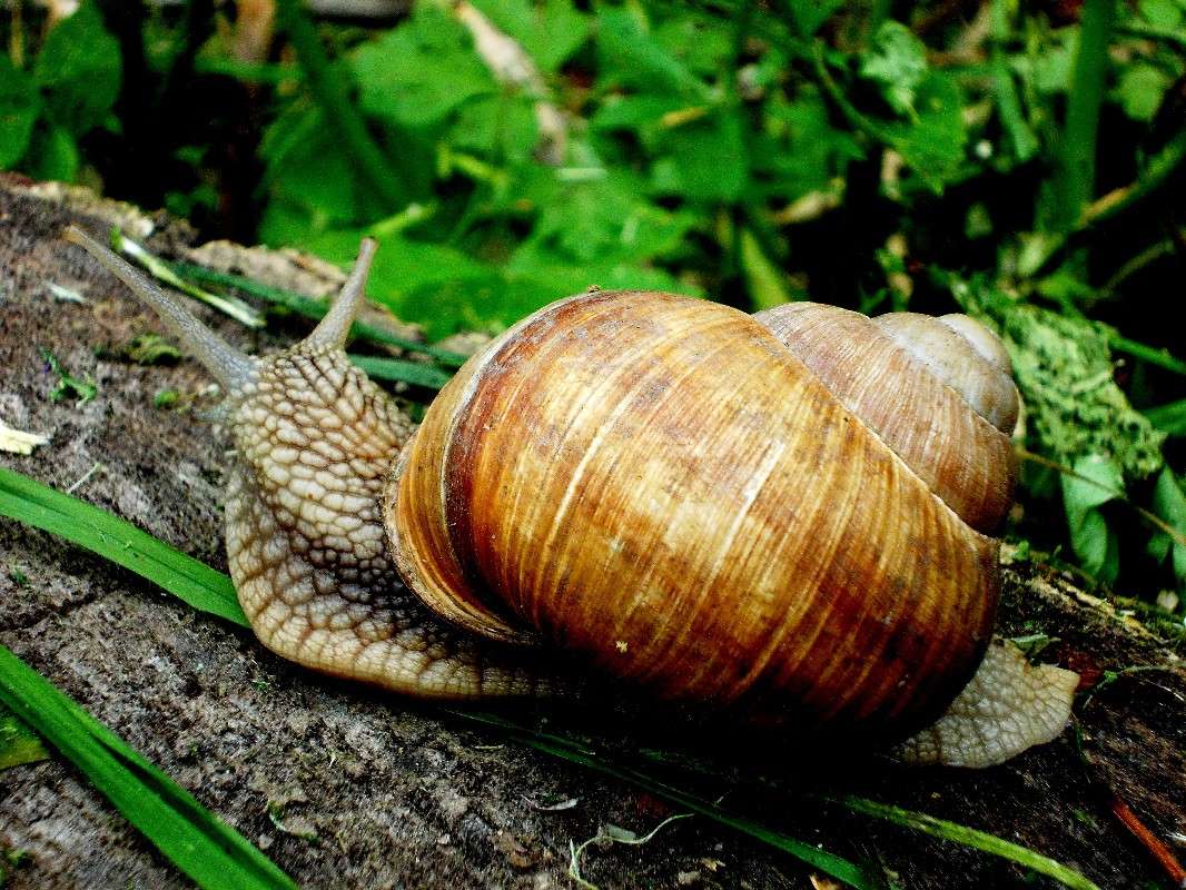 ... ����� ���