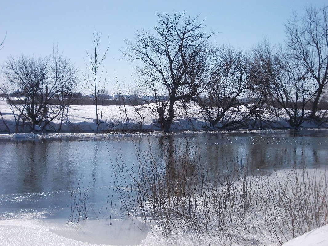 ... ����� ���