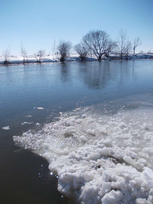 ... ����� ���