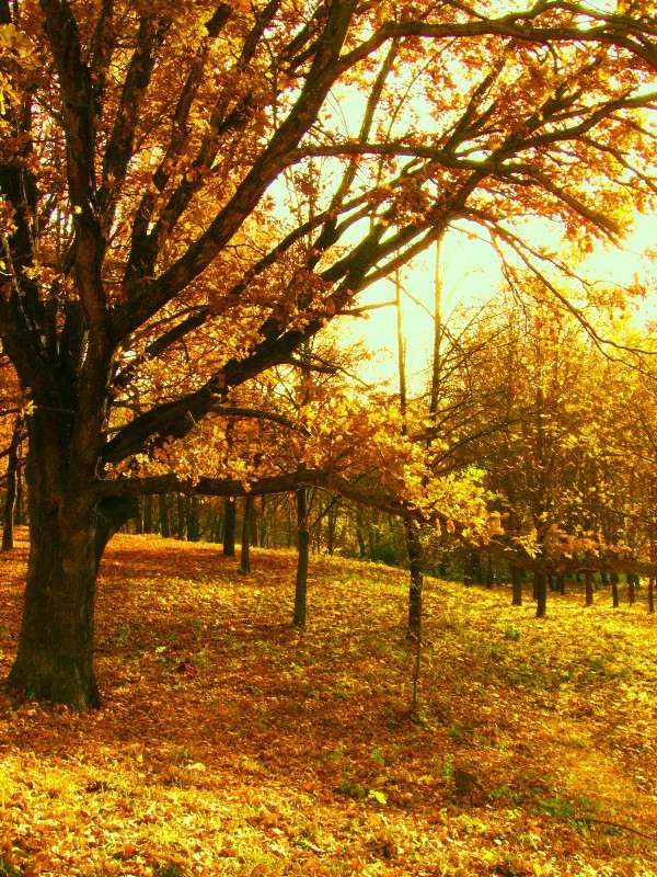 ... ����� ���