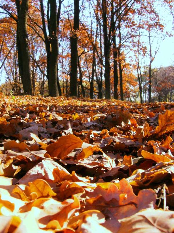 ... ����� ���