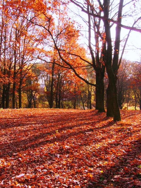 ... ����� ���