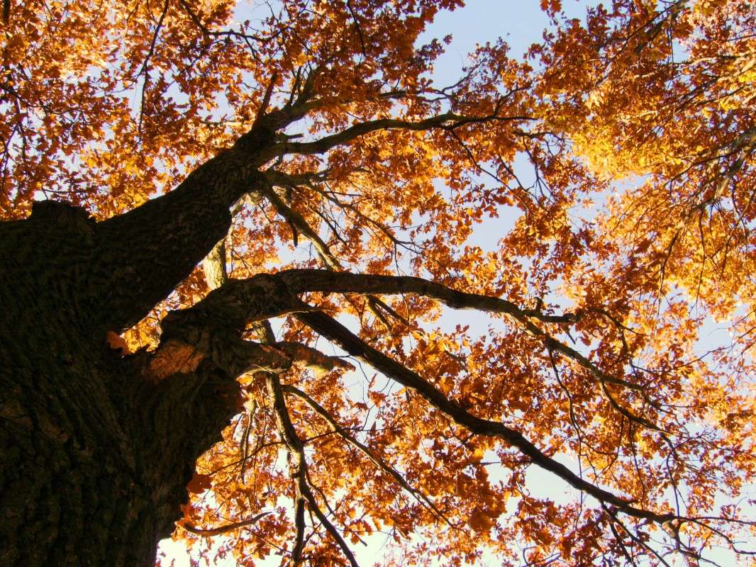 ... ����� ���