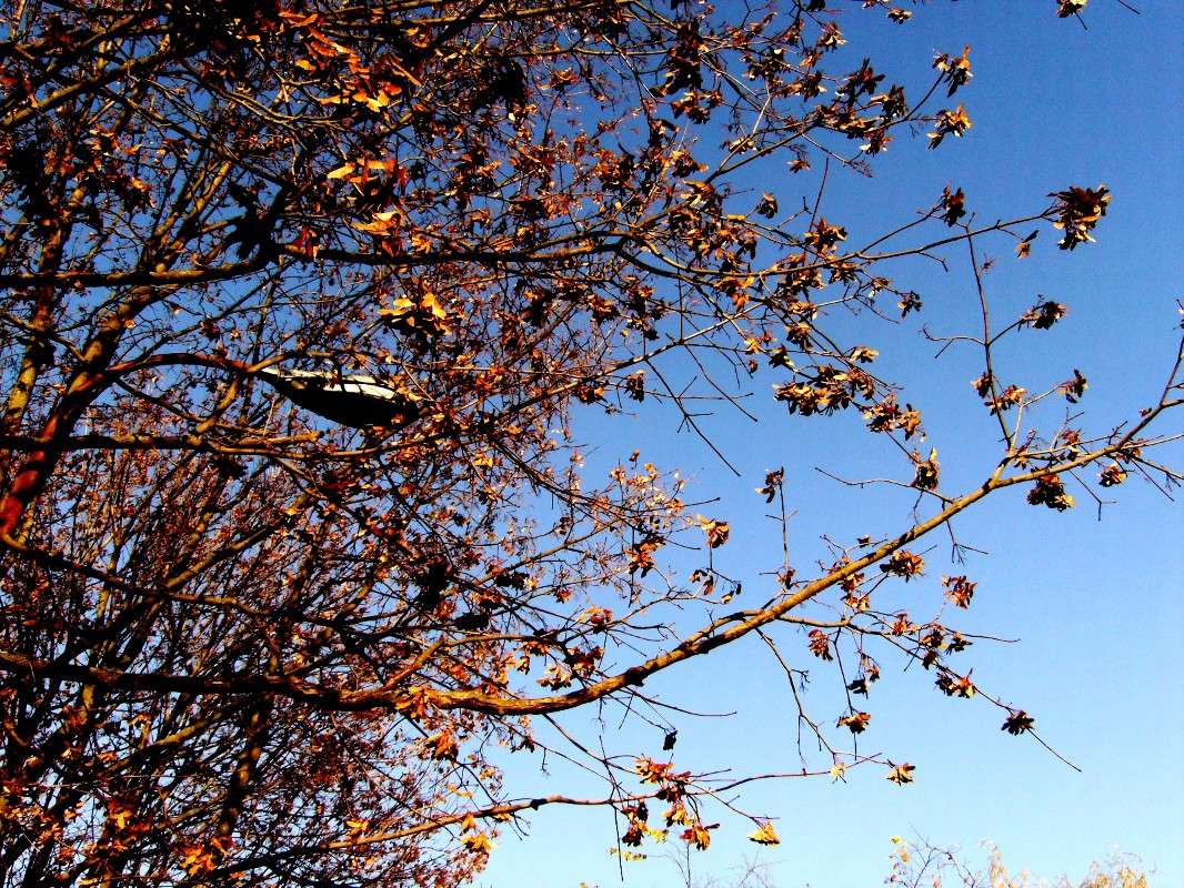 ... ����� ���