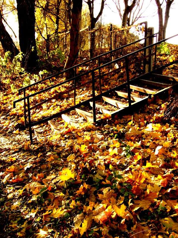 ... ����� ���