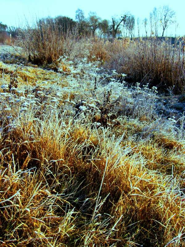 ... ����� ���