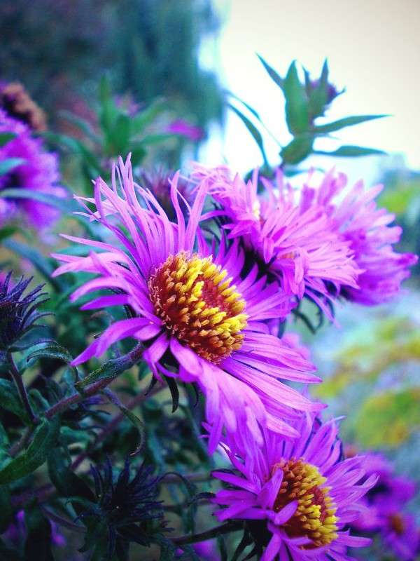 ... ����� ���