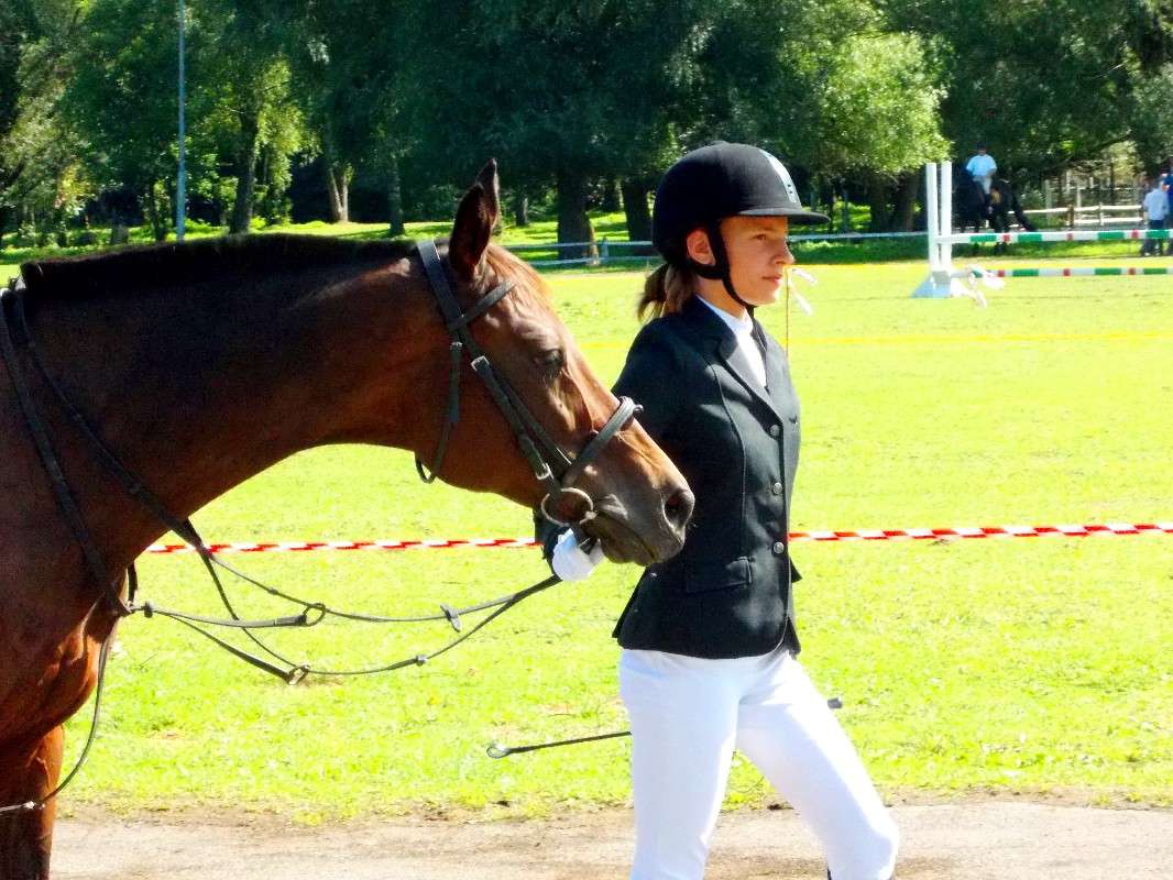 ... ����� ���