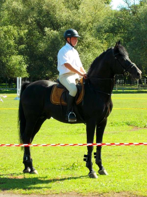 ... ����� ���