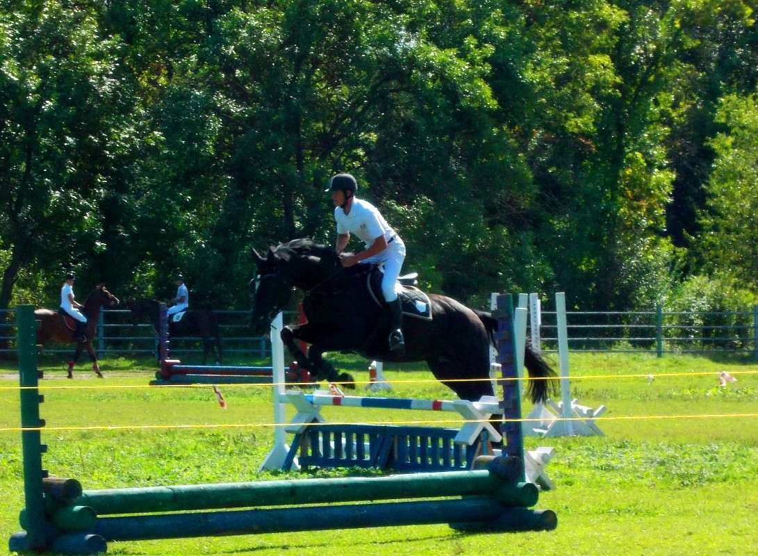 ... ����� ���