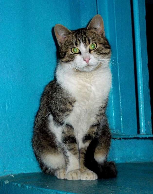 ... ����� ���