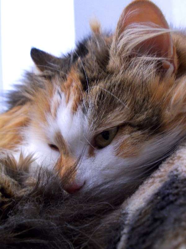 ... ����� ���