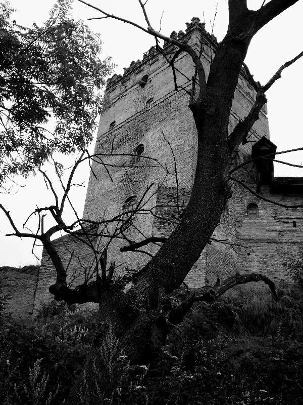 ... ����� ���