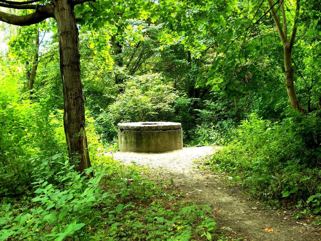 ... ����� ���