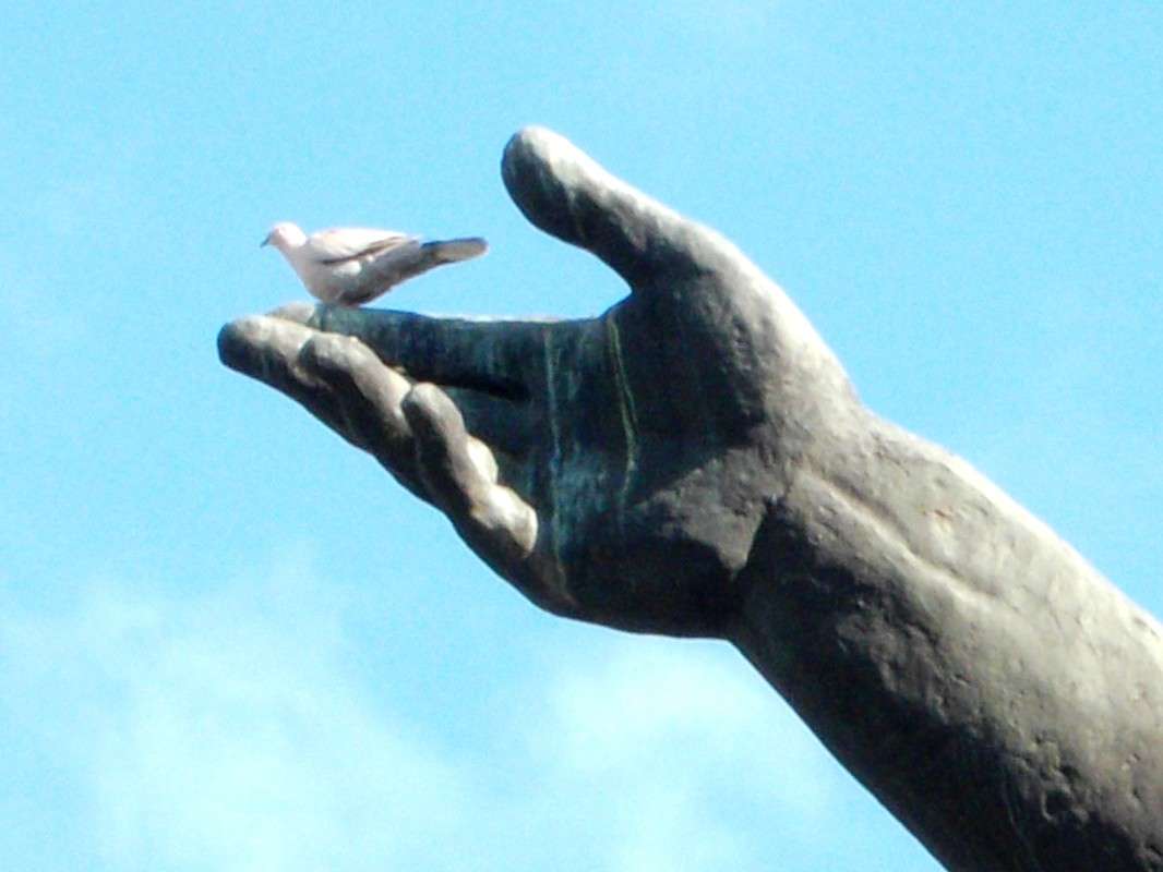 ... ����� ���