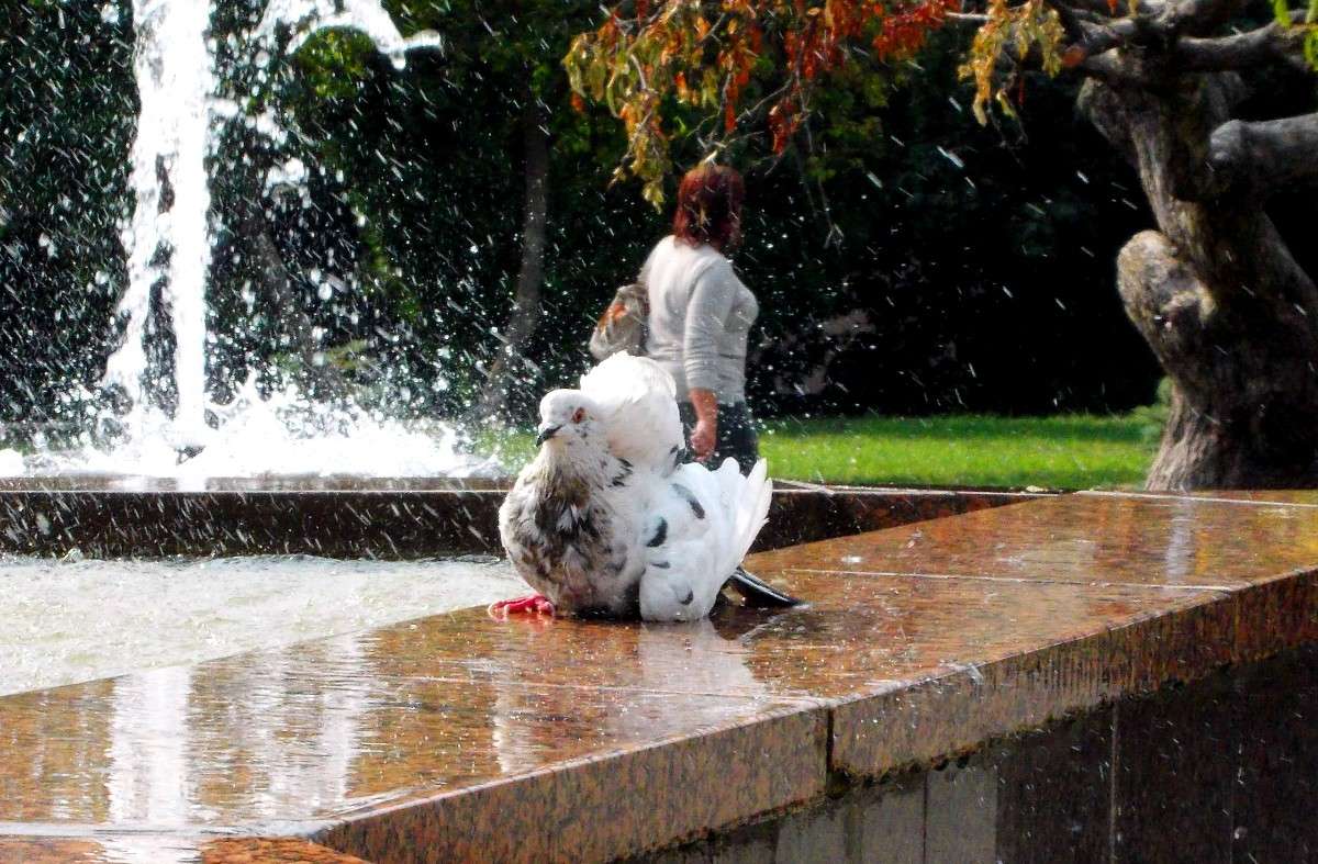 ... ����� ���