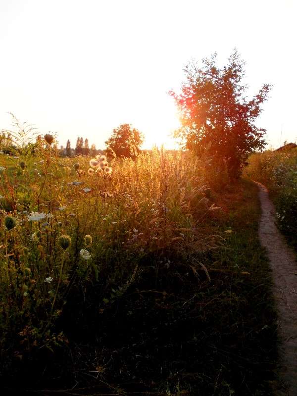 ... ����� ���