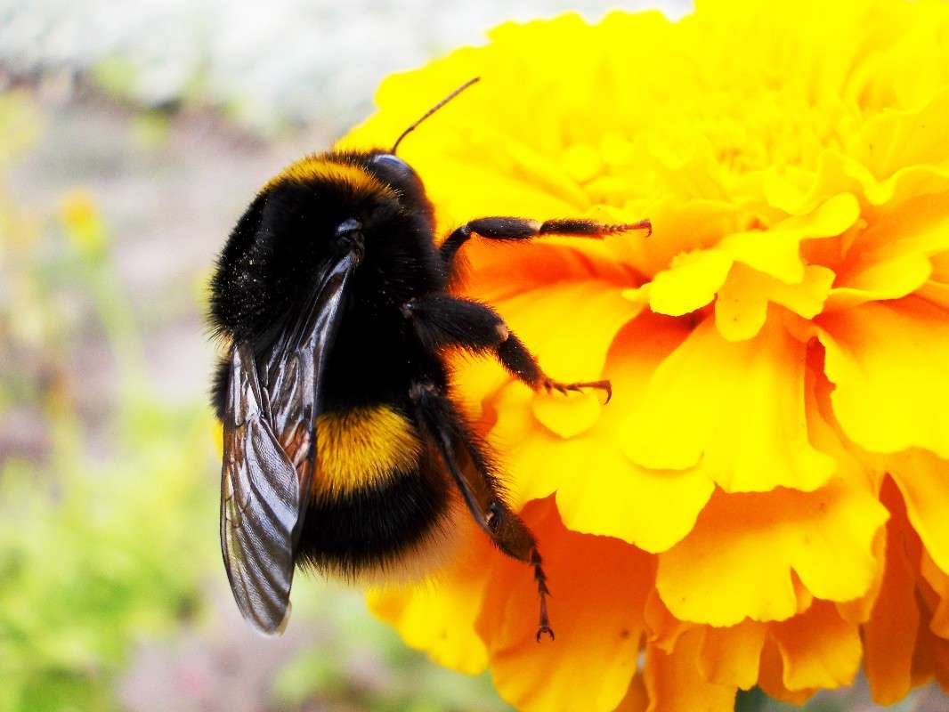 ... ����� ���