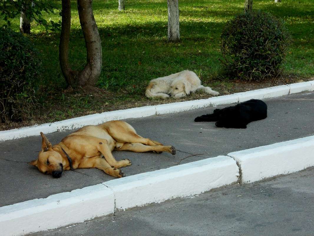 ... ����� ���